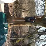 Campismo de Luxo Praha Glamping Nucice 380 Loděnice